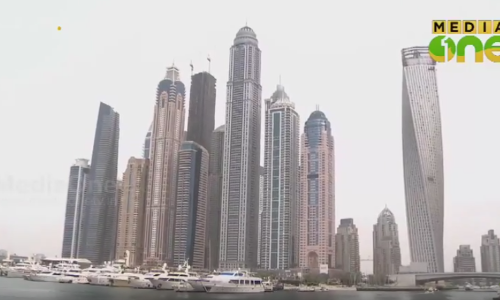 ജിസിസി റോമിങ്​ നിരക്ക്​ കുറക്കാൻ നിർദേശം നൽകിയിരുന്നതായി ട്രാ