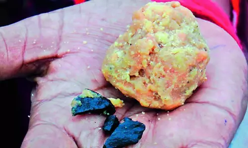 തിരുപ്പതി ലഡ്ഡുവില്‍ കല്‍ക്കരി കഷണങ്ങള്‍ കണ്ടെത്തി