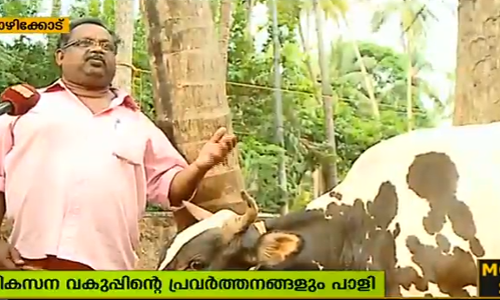 ചൂട് കൂടിയതോടെ പാലുല്‍പാദനം കുറയുന്നു