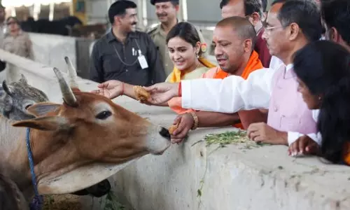 ഉത്തര്പ്രദേശില് പശുക്കള്ക്ക് ആംബുലന്സ് ഉത്തര്പ്രദേശില് പശുക്കള്ക്ക് ആംബുലന്സ്