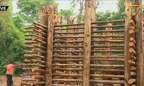 ആറളം മേഖലയില്‍ ഭീതിവിതച്ച ചുള്ളിക്കൊമ്പന്‍ ഒടുവില്‍ കൂട്ടിലായി