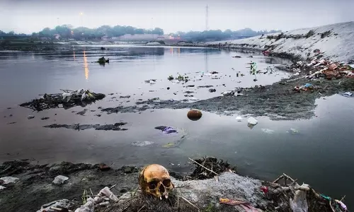 യമുന തീരത്തെ ജൈവവൈവിധ്യം നശിപ്പിക്കപ്പെട്ടെങ്കില്‍ ഉത്തരവാദി ഡല്‍ഹി വികസന അതോറിറ്റി