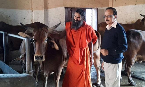 കാളശക്തിയില് നിന്ന് വൈദ്യുതി ഉത്പാദിപ്പിക്കാനൊരുങ്ങി പതഞ്ജലി കാളശക്തിയില് നിന്ന് വൈദ്യുതി ഉത്പാദിപ്പിക്കാനൊരുങ്ങി പതഞ്ജലി