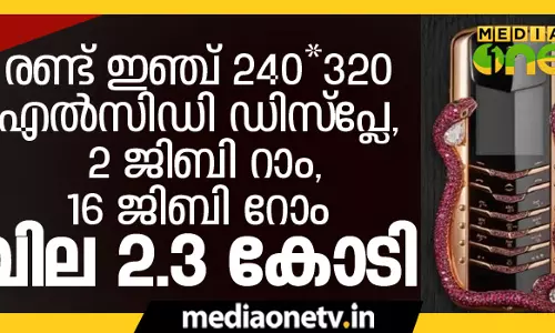 ശരാശരിയിലും താഴെ ഫീച്ചറുകളുള്ള ഫോണിന് 2.3 കോടി രൂപ
