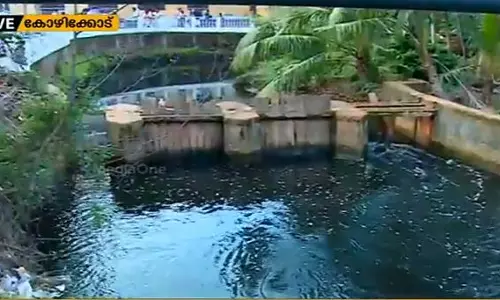 മാമ്പുഴയില്‍ വീണ്ടും മീനുകള്‍ ചത്തുപൊങ്ങി