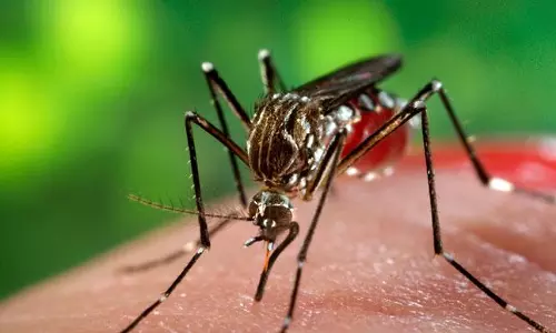 സിക്കവൈറസ്; പുതിയ പരീക്ഷണം വിജയകരം