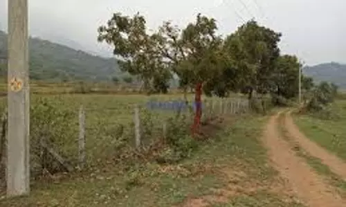 അബൂദബിയില്‍ ഈ വര്‍ഷം ഇതുവരെ പിടികൂടിയത് 2 ലക്ഷത്തിന്റെ വ്യാജ ഉത്പന്നങ്ങള്‍