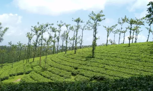 പരിസ്ഥിതിലോല നിയമം അട്ടിമറിക്കാൻ സർക്കാർ നീക്കം