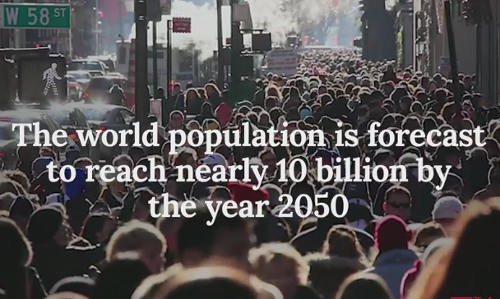 2050ല്‍ ലോകജനസംഖ്യ 980 കോടിയിലെത്തും, ഇന്ത്യ ചൈനയെ മറികടക്കും