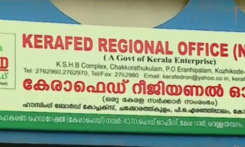 കേരാഫെഡിന്റെ കൊപ്രാ സംഭരണത്തില്‍ തമിഴ്നാട് ലോബി സജീവമായതായി ആക്ഷേപം