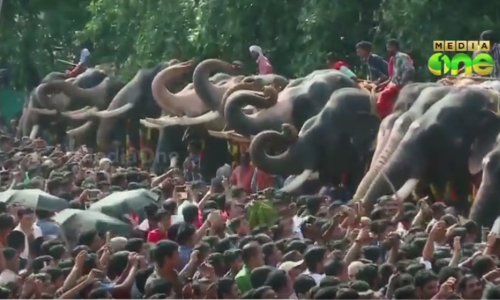 ക്ഷേത്രങ്ങളില്‍ വിഘ്നേശ്വര പ്രീതിക്കായി ആനയൂട്ട് നടന്നു