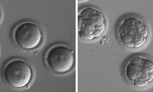 ആരോഗ്യ രംഗത്ത് വിപ്ലവകരമായ കണ്ടുപിടിത്തം; ഭ്രൂണങ്ങളില്‍ ജനിക മാറ്റം വരുത്തി പാരമ്പര്യ രോഗങ്ങള്‍ തടയാം