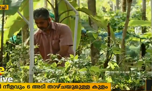 ഇത്തിരി സ്ഥലത്തു നിന്നും ഒത്തിരി വിളവെടുക്കുന്ന അബ്ദുള്‍ മനാഫ്