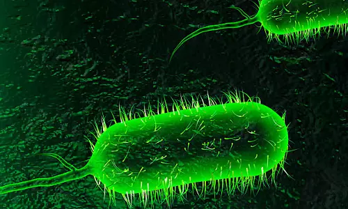 യമനില്‍ കോളറ ബാധിതരുടെ എണ്ണം 5 ലക്ഷം കവിഞ്ഞു