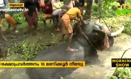 ചതുപ്പിൽ നിന്ന് രക്ഷിച്ച ആന വീണ്ടും ഇടഞ്ഞു; മയക്കുവെടി വെച്ചു ചതുപ്പിൽ നിന്ന് രക്ഷിച്ച ആന വീണ്ടും ഇടഞ്ഞു; മയക്കുവെടി വെച്ചു