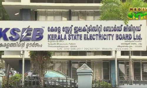 കെഎസ്ഇബിയിലെ ഓണ്‍ലൈന്‍ ട്രാന്‍സ്ഫര്‍ ഉത്തരവ് ഭാഗികമായി റദ്ദാക്കി