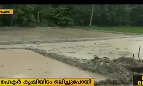 ഇടുക്കിയില്‍ കനത്തമഴയില്‍ വ്യാപകനാശം