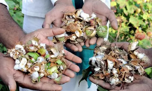 മഹാരാഷ്ട്രയില്‍ കീടനാശിനി ശ്വസിച്ച് 18 കര്‍ഷകര്‍ മരിച്ചു; 467 പേര്‍ ചികിത്സയില്‍