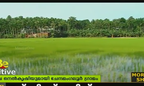 പ്രകൃതിയിലേക്ക് ഒരു മടങ്ങിപ്പോക്ക്, മാതൃകയാക്കണം ചേന്ദമംഗല്ലൂര്‍ ഗ്രാമത്തെ