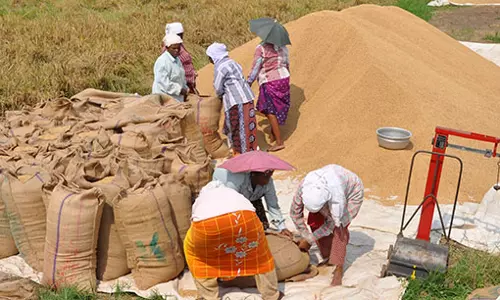 നെല്ല് സംഭരണത്തിലെ പ്രതിസന്ധിക്ക് പരിഹാരം