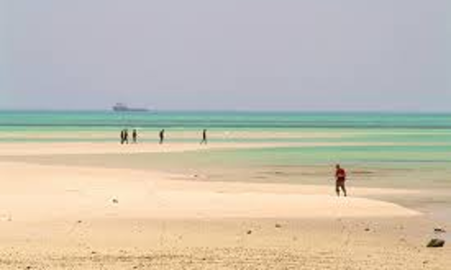 തെരഞ്ഞെടുപ്പ് തോല്വി സംബന്ധിച്ച മേഖലാ റിപ്പോര്ട്ട് ജൂലൈ അഞ്ചിനകം സമര്പ്പിക്കണമെന്ന് കെപിസിസി തെരഞ്ഞെടുപ്പ് തോല്വി സംബന്ധിച്ച മേഖലാ റിപ്പോര്ട്ട് ജൂലൈ അഞ്ചിനകം സമര്പ്പിക്കണമെന്ന് കെപിസിസി