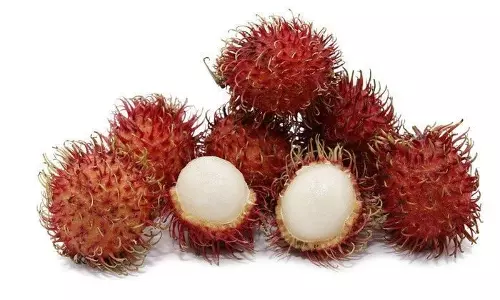 കര്‍ഷകരുടെ മഴക്കാല വിളയായി റമ്പൂട്ടാന്‍