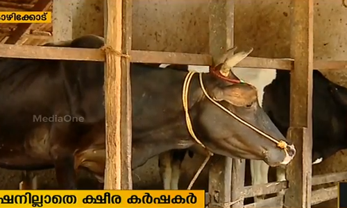 ഒരാള്‍ക്ക് ഒരു ക്ഷേമപെന്‍ഷന്‍ എന്ന നയം ക്ഷീര കര്‍ഷകര്‍ക്ക് തിരിച്ചടിയാകുന്നു