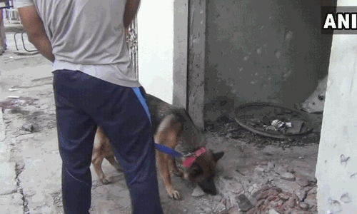 മുസഫര്‍ നഗറില്‍ സ്‌ഫോടനം: നാല് മരണം