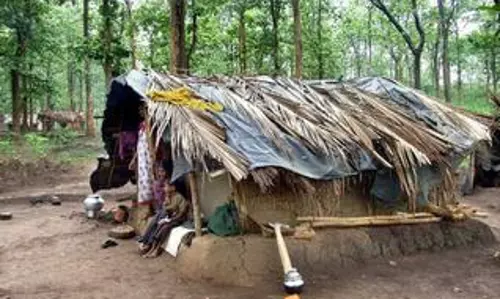 വയനാട്ടില്‍ മാറ്റിപ്പാര്‍പ്പിയ്ക്കപ്പെട്ട ആദിവാസി കുടുംബങ്ങള്‍ ദുരിതത്തില്‍