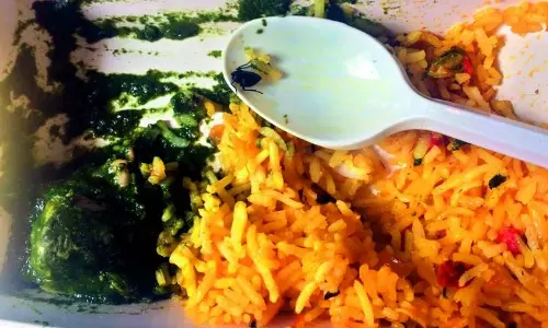 ജെറ്റ് എയര്‍വേസില്‍ വിളമ്പിയ ബിരിയാണിയില്‍ പ്രാണി