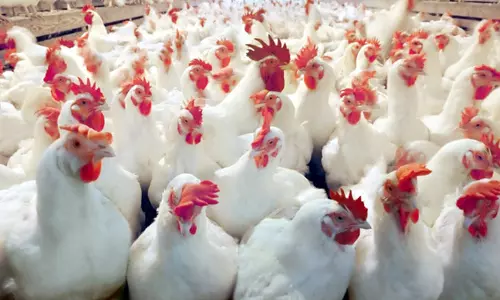 ആറു രാജ്യങ്ങളിൽ നിന്നുള്ള ഭക്ഷ്യ ഇറക്കുമതി വിലക്ക്​ കുവൈത്ത് പിൻവലിച്ചു