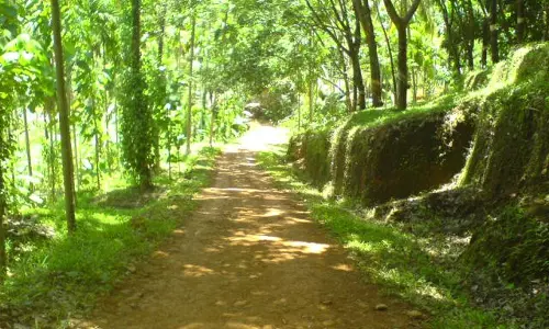 ‘താഴ്ന്ന ജാതിക്കാര്‍ വഴി നടക്കുന്നതാണ് കുടംബപ്രശ്നങ്ങള്‍ക്ക് കാരണം’; റോഡ് ഗതാഗതം തടസപ്പെടുത്തി