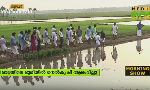 സന്തോഷ് മാധവനില്‍ നിന്ന് സര്‍ക്കാര്‍ ഏറ്റെടുത്ത ഭൂമിയില്‍ നെല്‍കൃഷി ആരംഭിച്ചു