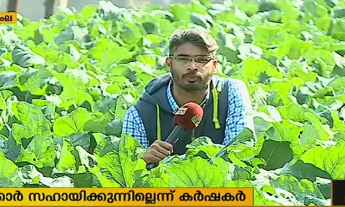 ഹിമാചലില് വന്യജീവികള് കൃഷി നശിപ്പിക്കുന്നു; നഷ്ടപരിഹാരം വാഗ്ദാനം മാത്രം ഹിമാചലില് വന്യജീവികള് കൃഷി നശിപ്പിക്കുന്നു; നഷ്ടപരിഹാരം വാഗ്ദാനം മാത്രം