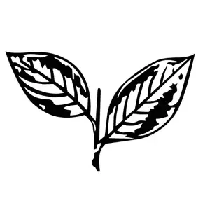 കേരള കോണ്‍ഗ്രസ് എം സ്ഥാനാര്‍ഥി പട്ടികയായി