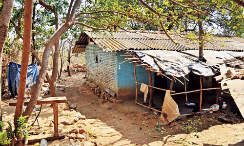 വേനല്‍ക്കാല അസുഖങ്ങളില്‍ മതിയായ ചികിത്സ ലഭിക്കാതെ ആദിവാസി കുടുംബങ്ങള്‍