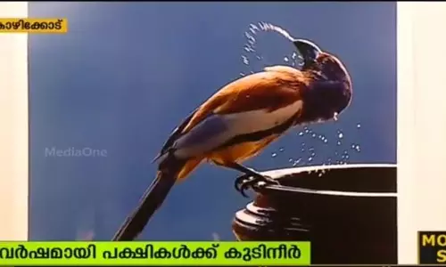 പക്ഷികള്‍ക്ക് കുടിനീര്‍; അപൂര്‍വ്വ നിമിഷങ്ങളുമായി തേഴ്സ്റ്റി ബേര്‍ഡ്സ്