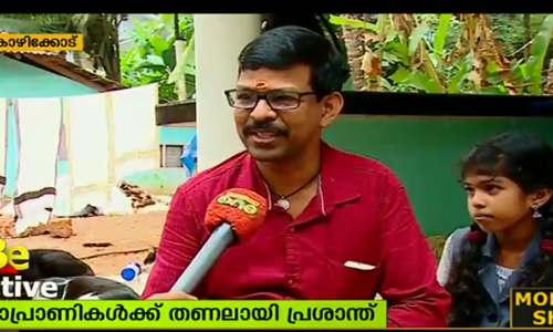 മിണ്ടാപ്രാണികള്‍ക്ക് തണലായി പ്രശാന്ത്