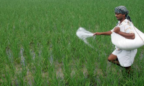 കാര്‍ഷിക കടാശ്വാസം;  വായ്പകളുടെ തിയതി നീട്ടാനുള്ള തീരുമാനം കര്‍ഷകര്‍ക്ക്  ആശ്വാസമാകും