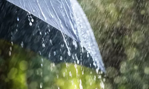 സംസ്ഥാനത്ത് കനത്ത മഴ; തെങ്ങ് വീണ് സ്ത്രീ മരിച്ചു