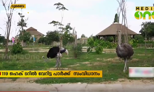 ദുബൈ സഫാരിയിൽ വ്യാഴാഴ്ച മുതൽ പ്രവേശ ഫീസ് ഈടാക്കും