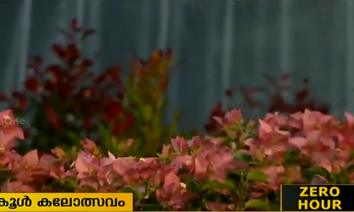 നീര്‍മാതളത്തിന് മുന്നില്‍ പൂക്കളുടെ പൂരം