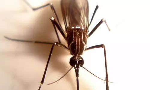 സിക്ക വൈറസ് ഭീഷണി ഭീതിജനകമെന്ന് അമേരിക്ക