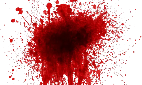 വിവാഹത്തിന് മുന്‍പ് സംസാരിച്ച പ്രതിശ്രുത വധൂവരന്‍മാരെ വെടിവെച്ച് കൊന്നു