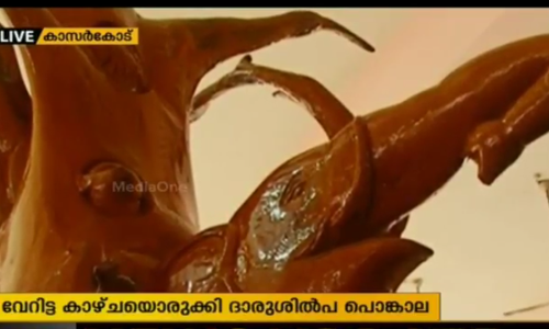 കണ്ണും മനവും കവര്‍ന്ന് ദാരുശില്പ പൊങ്കാല മഹോത്സവം