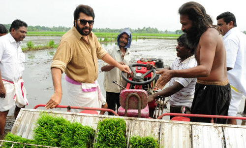 ജൈവ അരി മേളയും പച്ചക്കറികളുടെ വിപണനവും ഉദ്ഘാടനം ചെയ്ത് മമ്മൂട്ടി