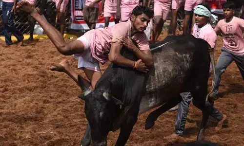 ആവേശത്തോടെ, ജല്ലിക്കെട്ടിനു സമാപനം