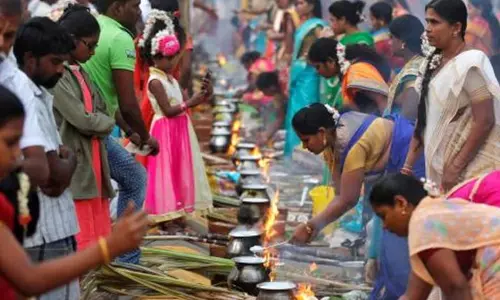 പൊങ്കല്‍ ആഘോഷത്തില്‍ തമിഴ്‌നാട്