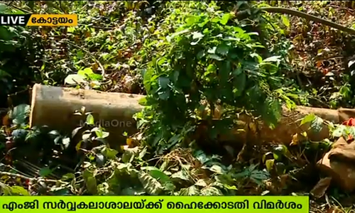 വനംവകുപ്പിന്റെ അനുമതിയില്ലാതെ മരംമുറിക്കരുത്: എംജി സര്‍വകലാശാലയോട് കോടതി