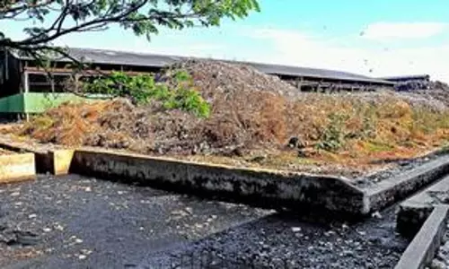 ജനവാസമേഖലയില്‍ മലിനജലം പുറന്തള്ളുന്നു; ജനജീവിതം ദുസ്സഹം